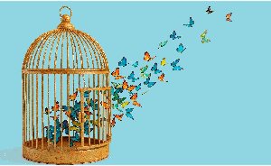 Le bilan de compétences